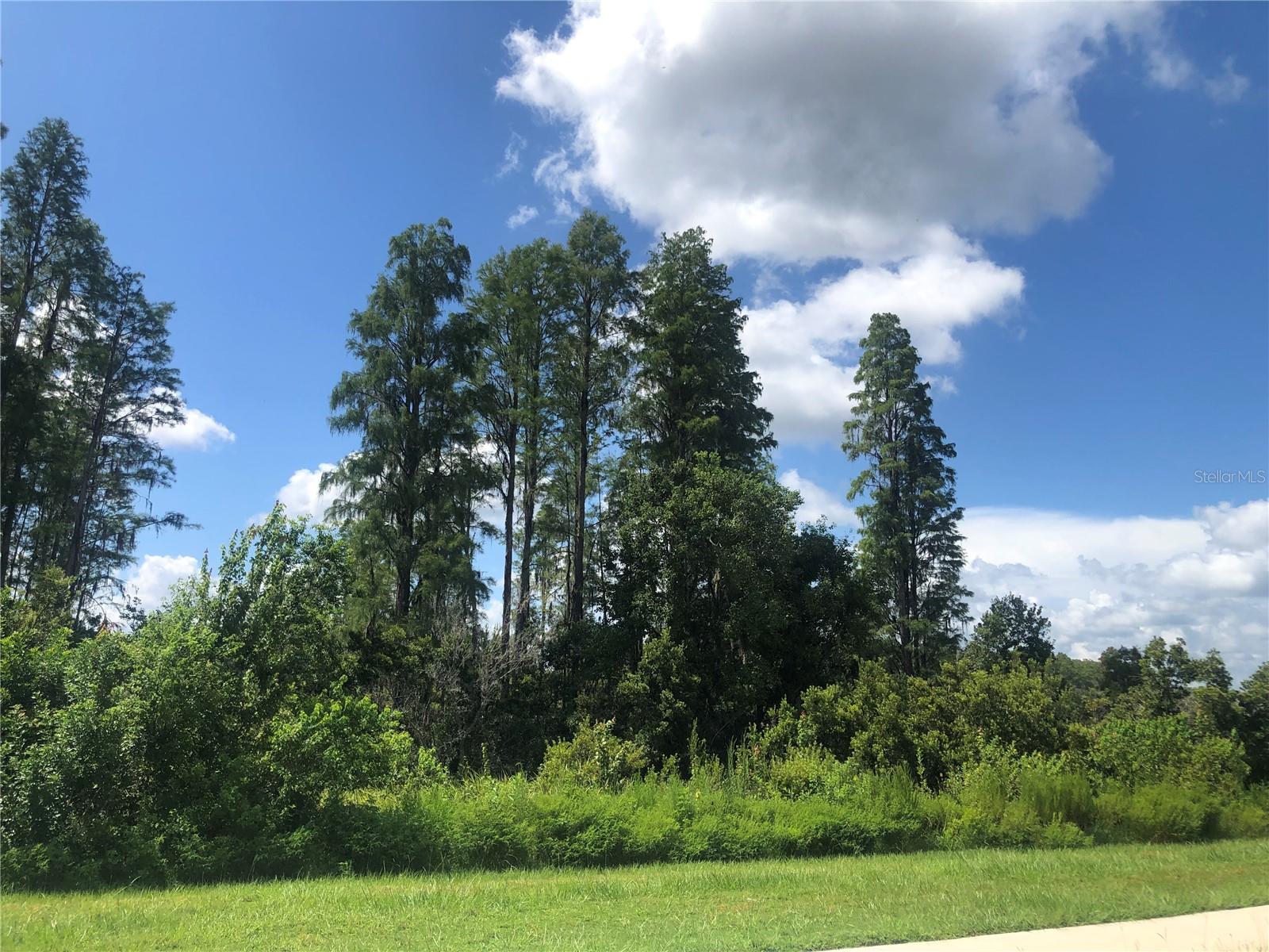 RIVERSTONE - Residential Lease
