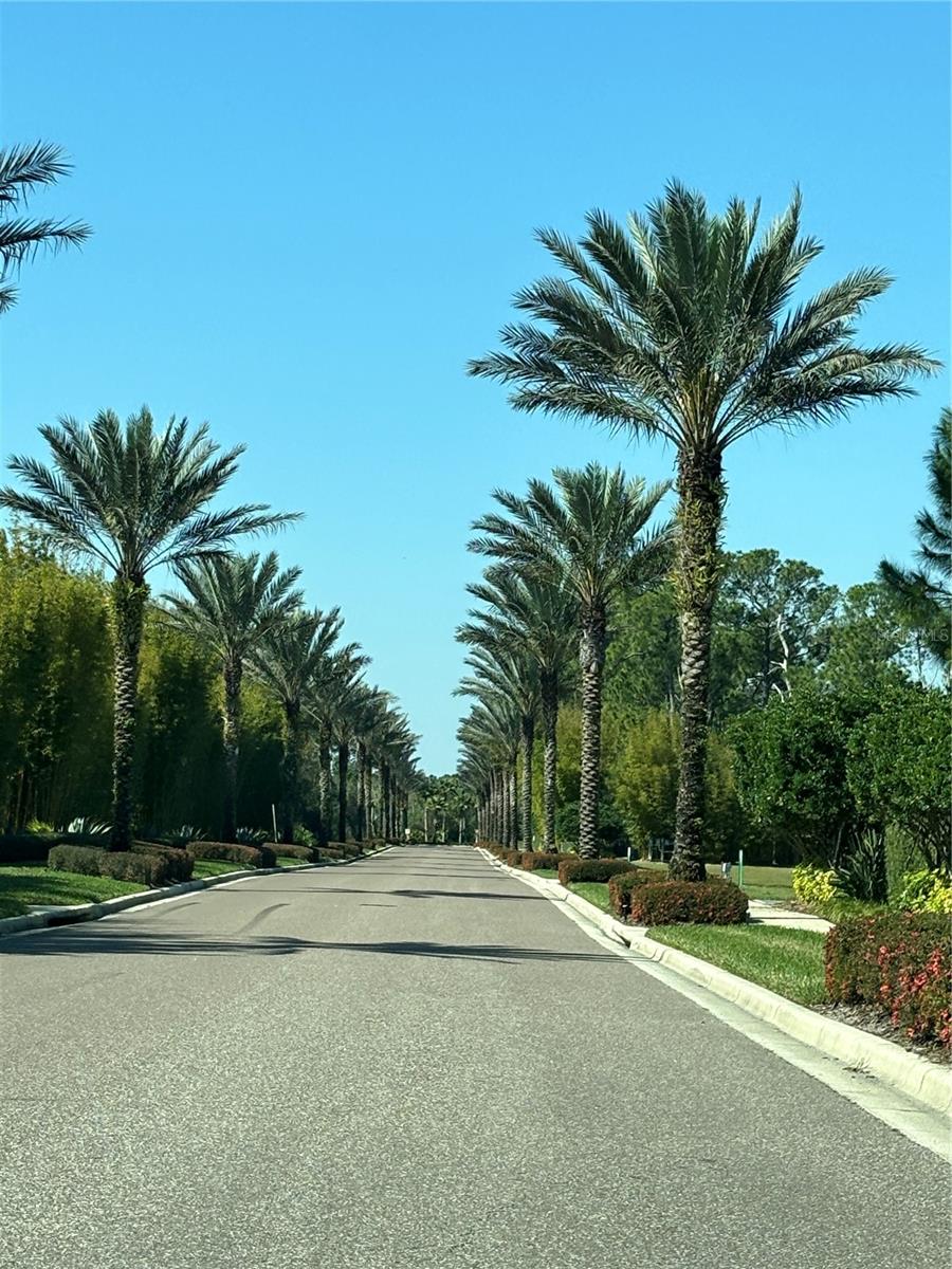 GROVE RESORT AND SPA HOTEL CONDOMINIUM 3 - Residential