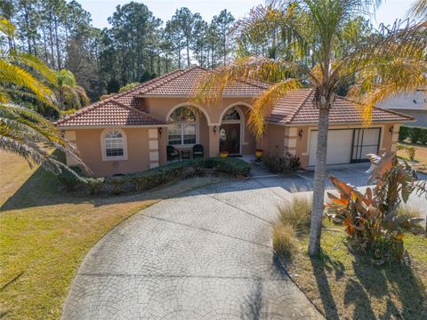 Photo of 22 Seathorn Path, Palm Coast, FL 32164 (MLS # FC316162)