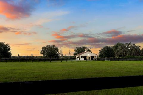 Tiny photo for 12394 SW 140th Loop, Dunnellon, FL 34432 (MLS # OM711299)