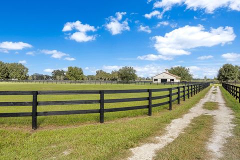 Tiny photo for 12394 SW 140th Loop, Dunnellon, FL 34432 (MLS # OM711299)