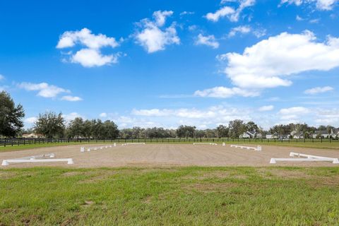 Tiny photo for 12394 SW 140th Loop, Dunnellon, FL 34432 (MLS # OM711299)