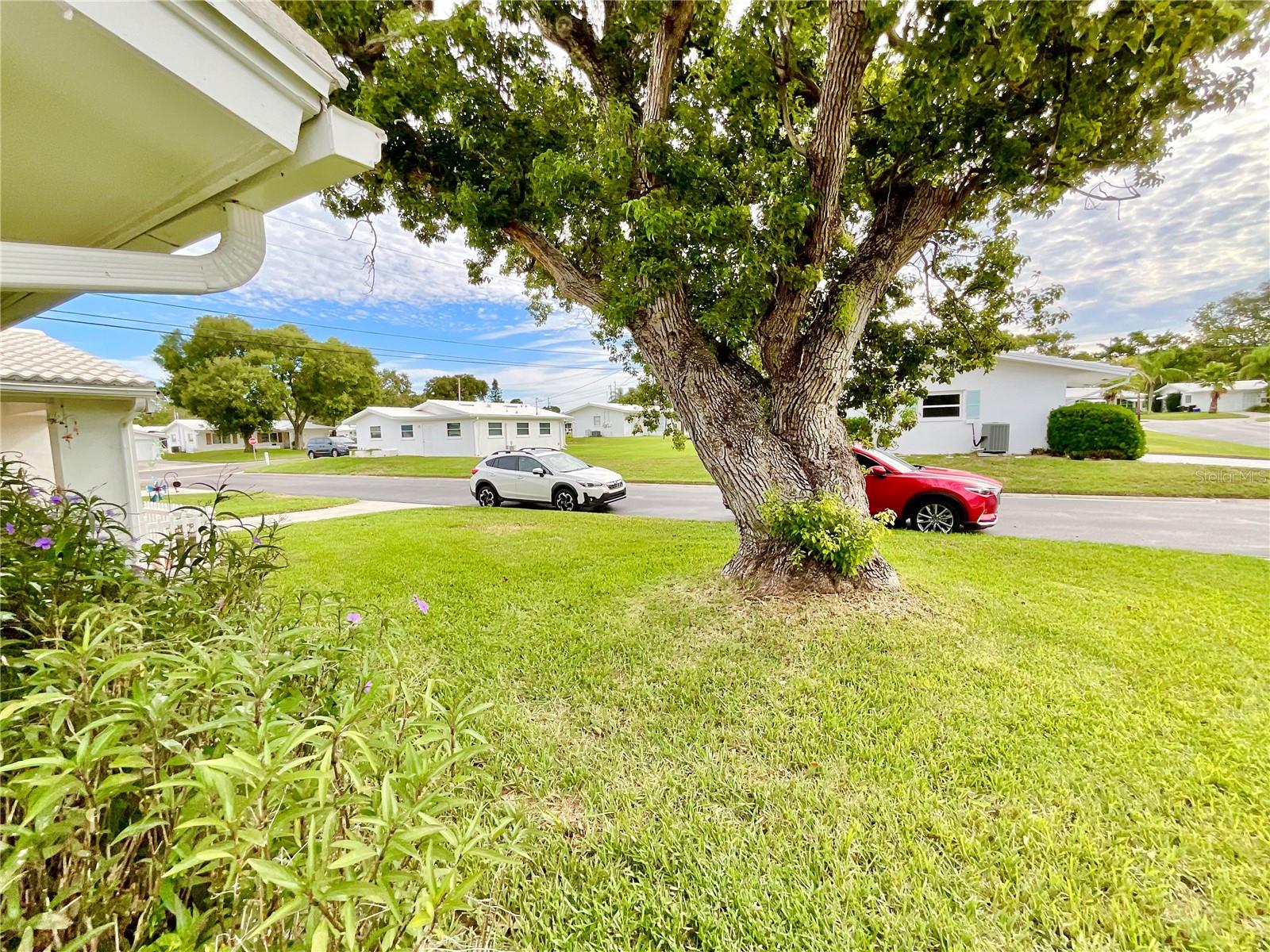 TAMARAC BY THE GULF - Residential Lease