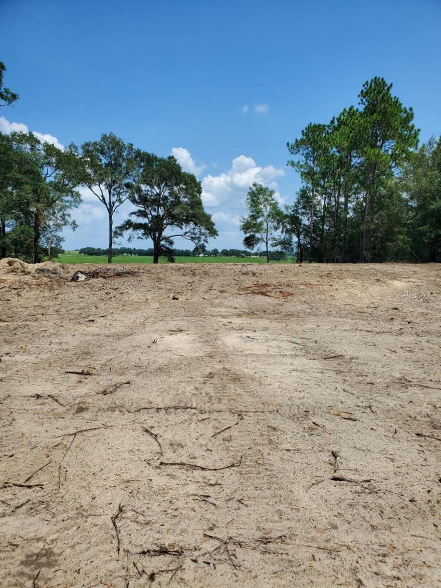 Build-ready, elevated lot located in the desirable Rainbow Lakes Estates community, just minutes from the Rainbow River. The property has been fully cleared of large trees, saving time and upfront costs, and features an electric pole conveniently located at the street. The back of the lot is fenced and overlooks peaceful pasture views with grazing cows, offering privacy and a true country feel. Zoned R-1 with Flood Zone X and no HOA or CDD. Enjoy access to free community amenities including lakes, clubhouse, tennis courts, basketball courts, and racquetball. With limited available lots in the area, this is a great opportunity to build your dream home in a quiet, natural setting.