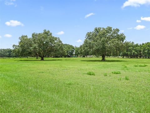 Tiny photo for 1500 NW 155th Street, Citra, FL 32113 (MLS # OM704067)