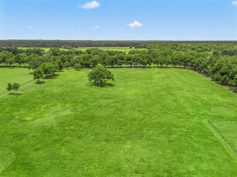 Tiny photo for 1500 NW 155th Street, Citra, FL 32113 (MLS # OM704067)