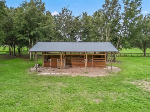 Tiny photo for 1500 NW 155th Street, Citra, FL 32113 (MLS # OM704067)