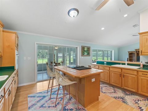 Tiny photo for 1500 NW 155th Street, Citra, FL 32113 (MLS # OM704067)