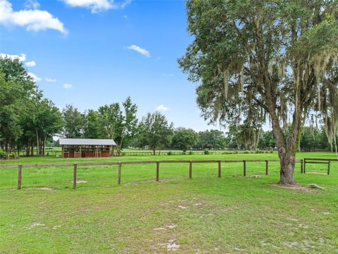 Tiny photo for 1500 NW 155th Street, Citra, FL 32113 (MLS # OM704067)