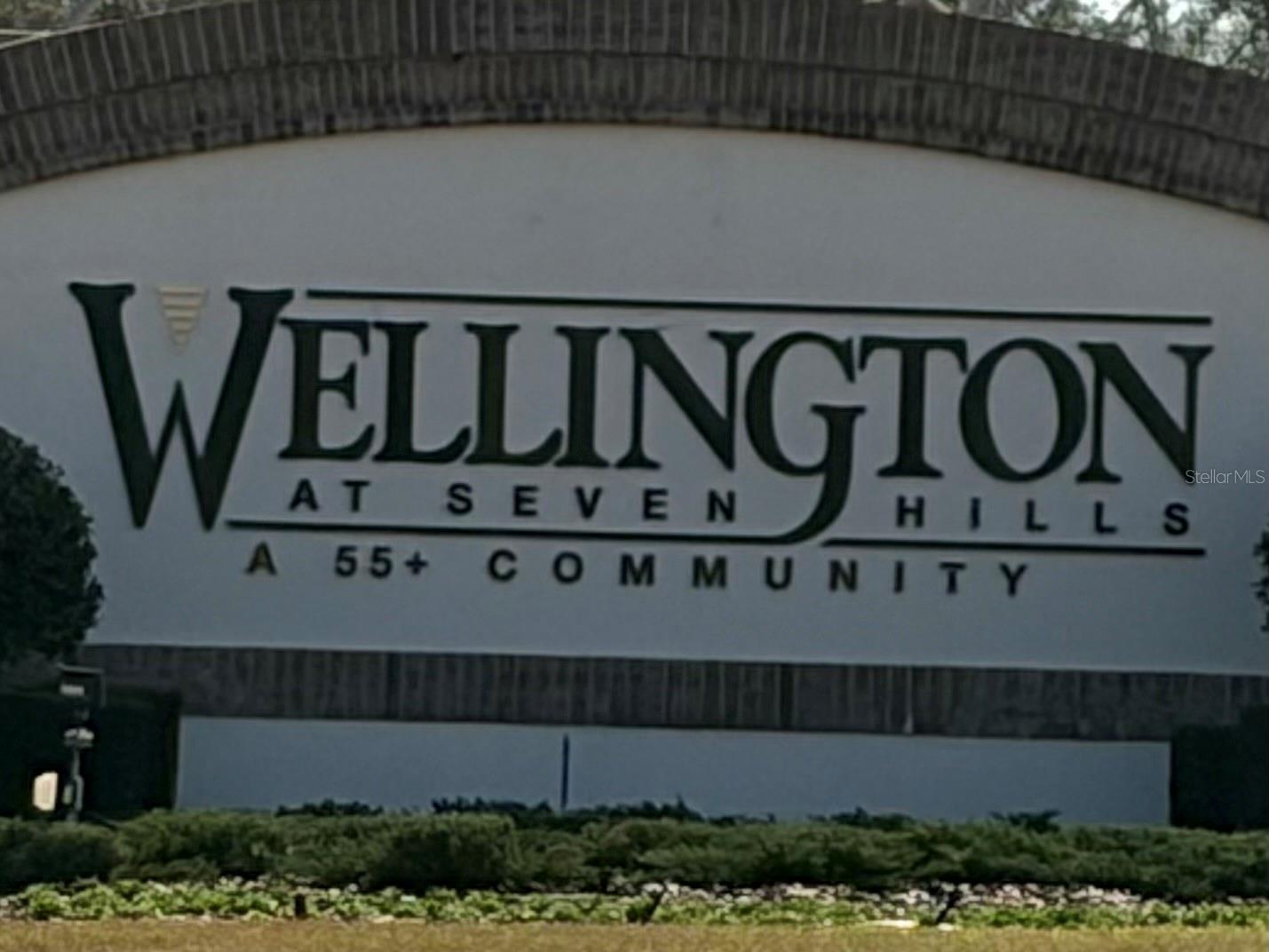 WELLINGTON AT SEVEN HILLS PH 3 - Residential