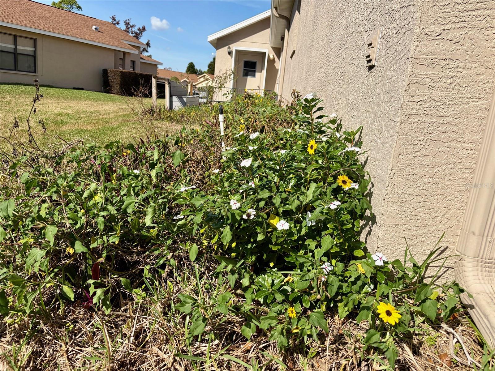 WELLINGTON AT SEVEN HILLS PH 3 - Residential