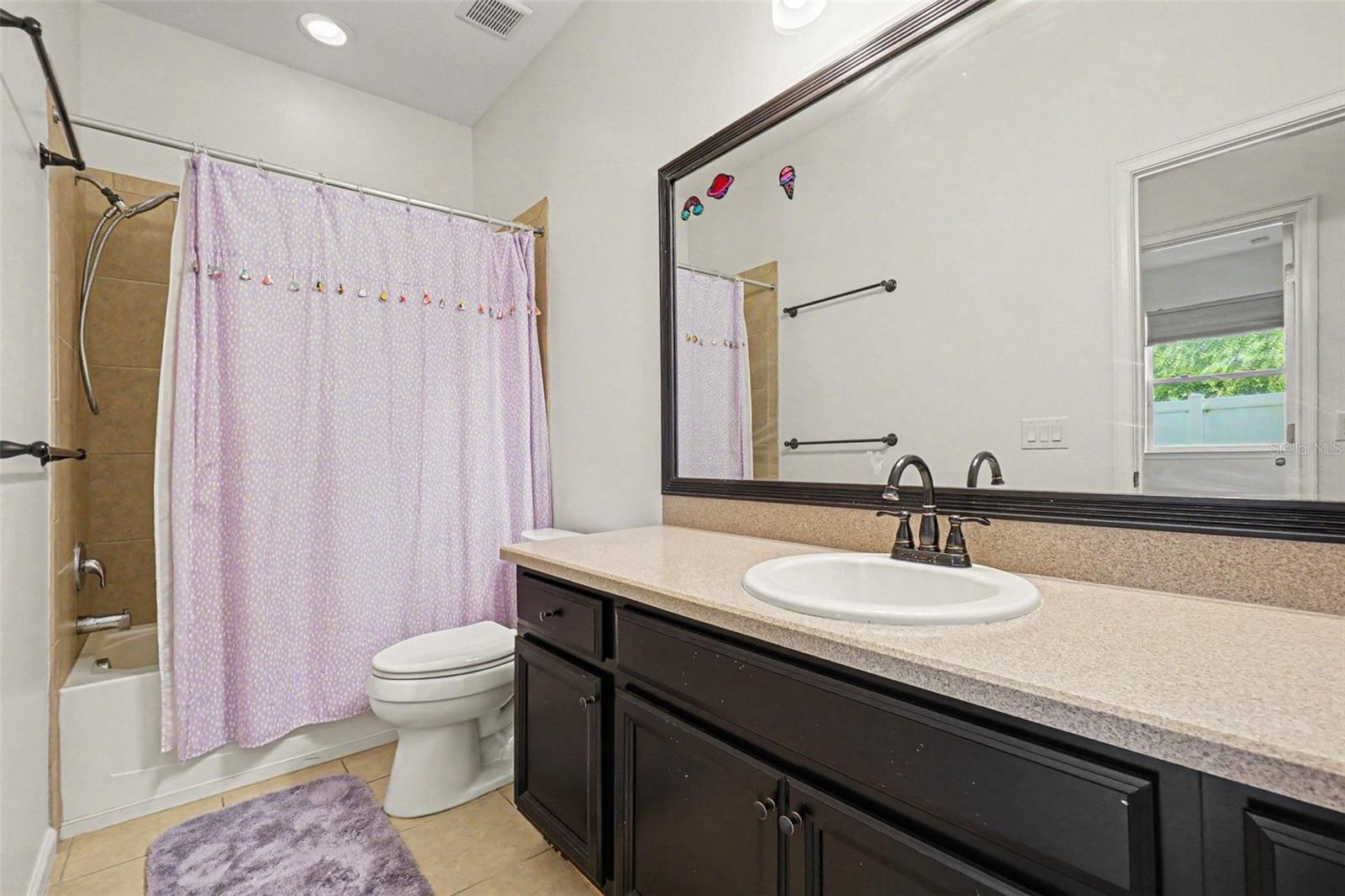 12324 STREAMBED DRIVE