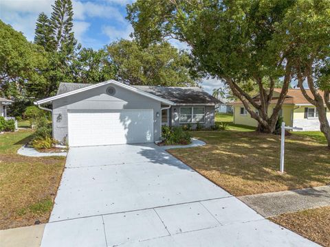 A home in PALM HARBOR