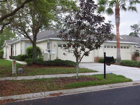 Photo of 3336 Chapel Creek Creek, Wesley Chapel, FL 33543 (MLS # TB8437771)