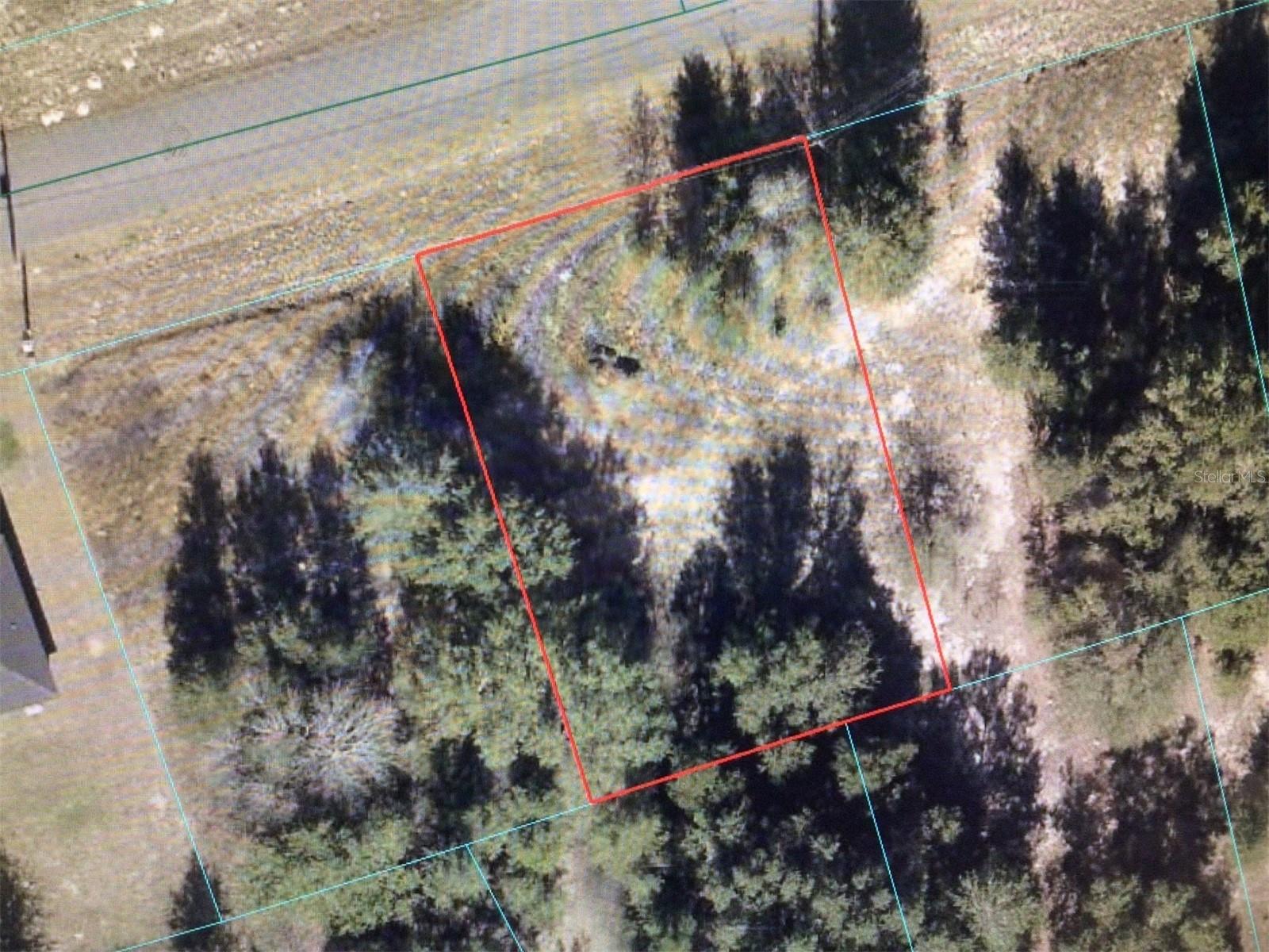 MARION OAKS 10 - Land