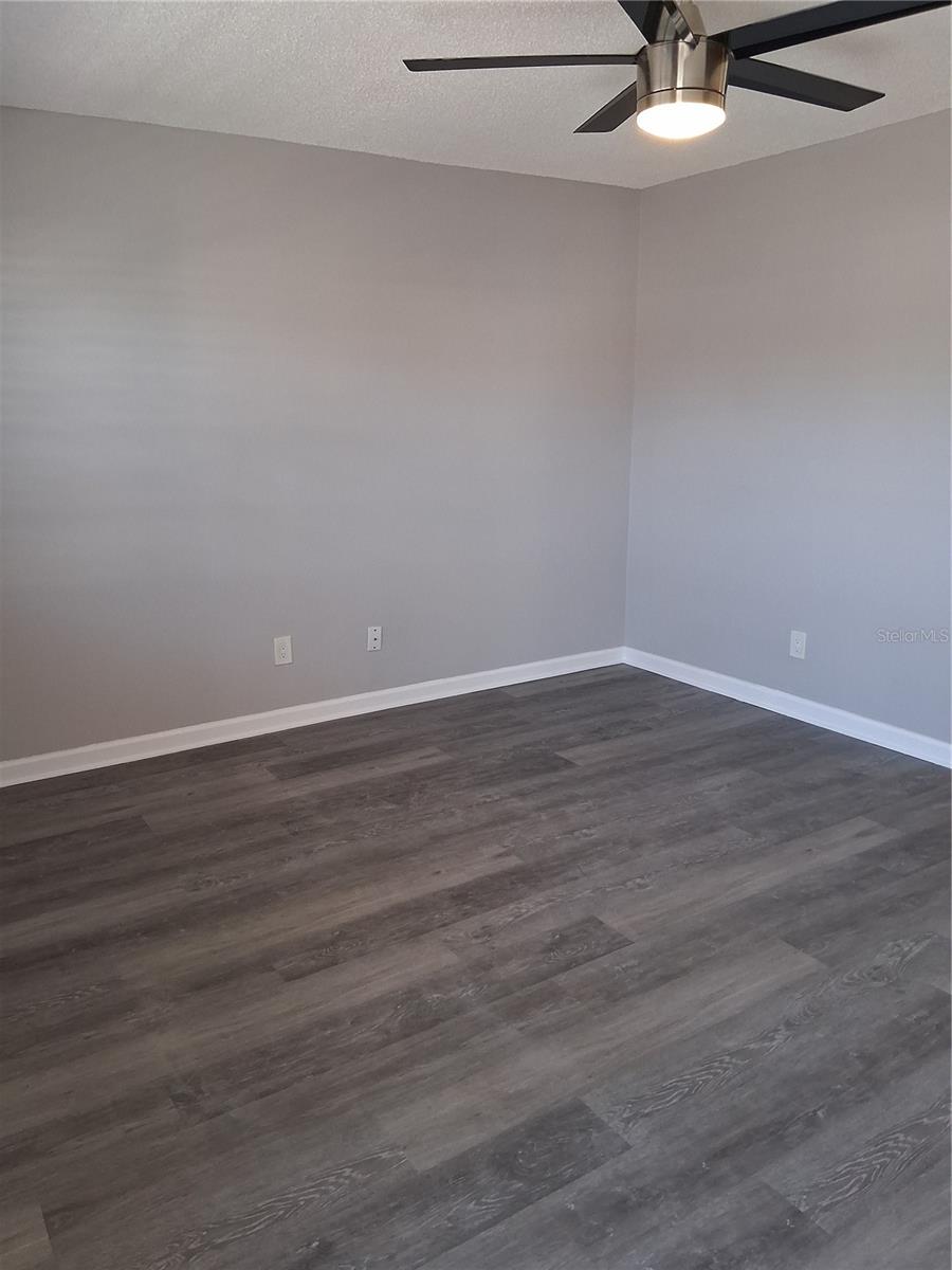 24862 US HIGHWAY 19 N 1902