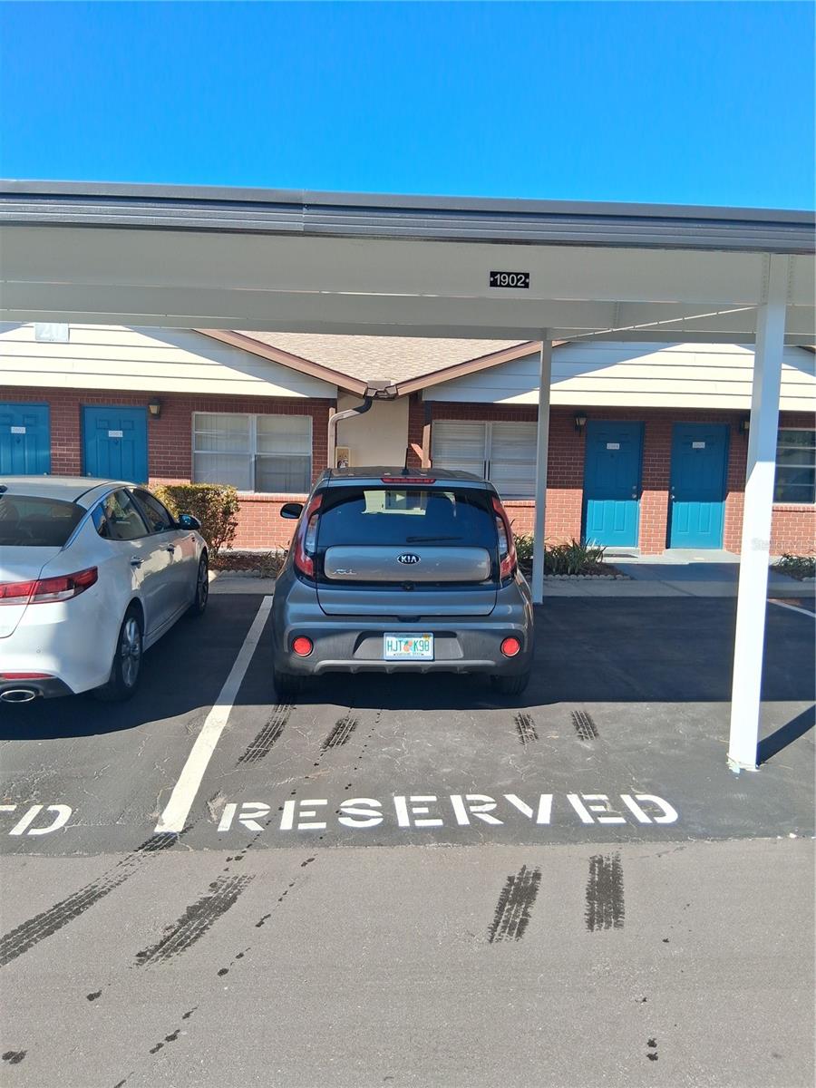 24862 US HIGHWAY 19 N 1902