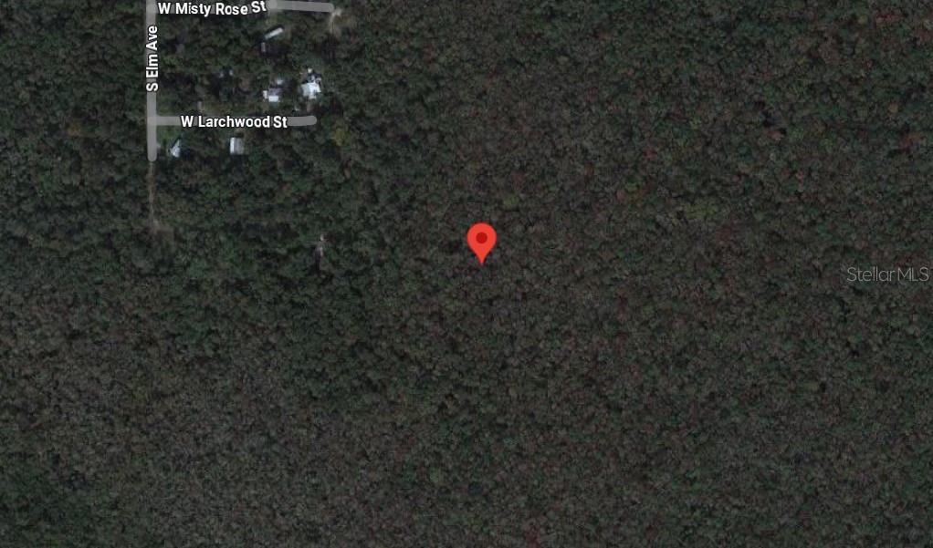 HOMOSASSA TOWN - Land