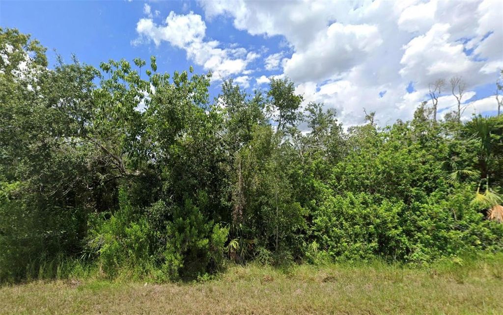 Photo of 14276 Myakka Avenue, Port Charlotte, FL 33953 (MLS # O6402152)