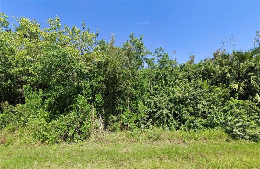Discover the potential of this spacious lot located at 14276 Myakka Ave in Port Charlotte, FL. Nestled in a serene neighborhood, this property gives you a blank canvas for your dream home or investment project. Enjoy the peaceful surroundings while being conveniently close to local amenities, shopping, dining, and recreational activities. The lot provides ample space for various design possibilities, making it a versatile choice for those looking to build in a expanding community. WE ARE MOTIVATED OWNERS!
