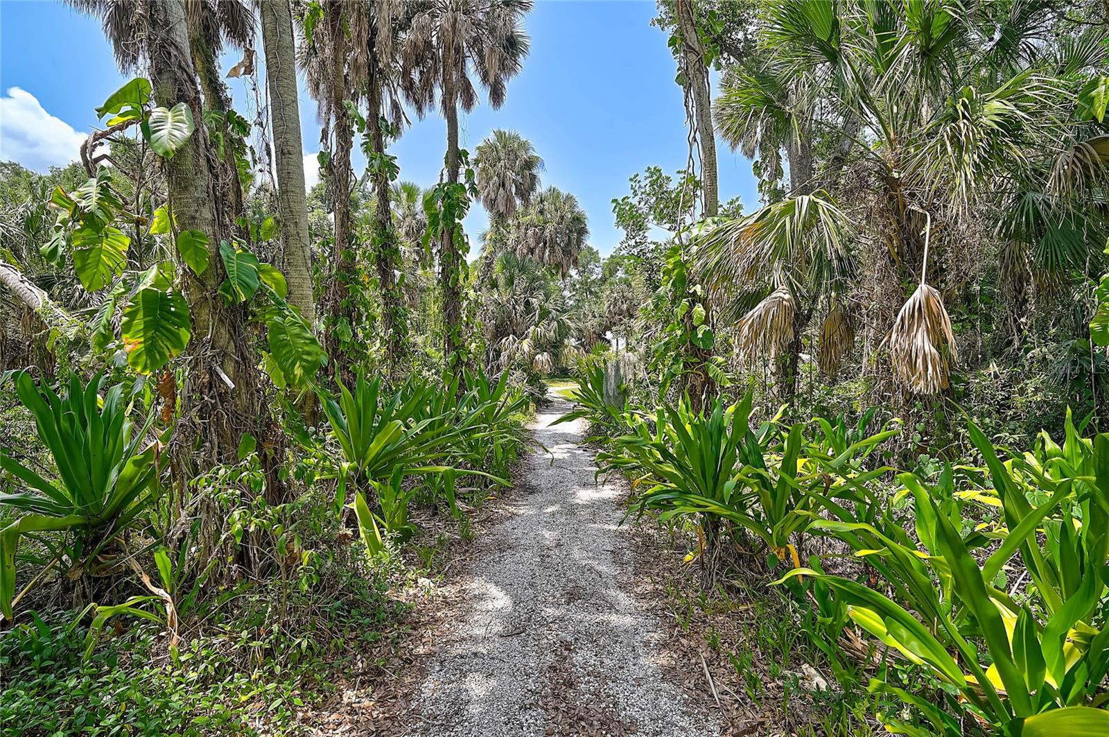 VENICE ACRES - Residential