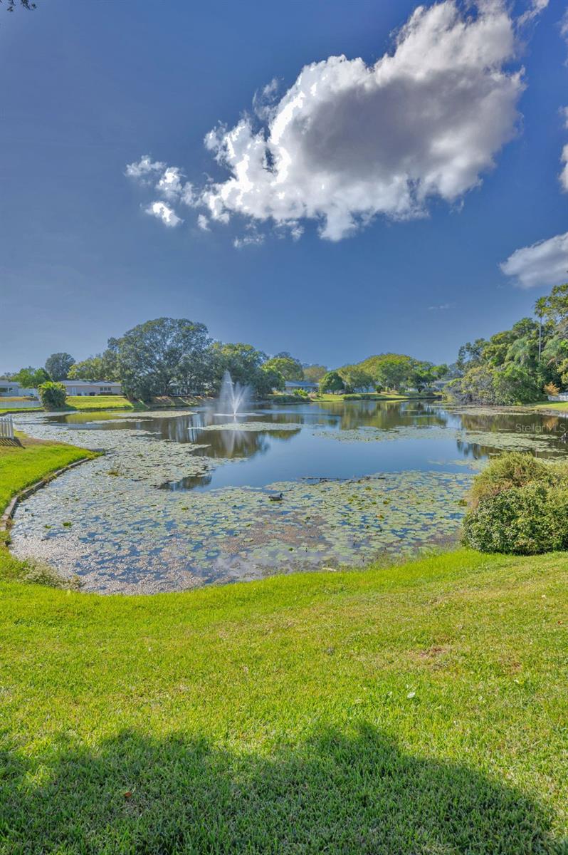 GREENBRIAR - Residential