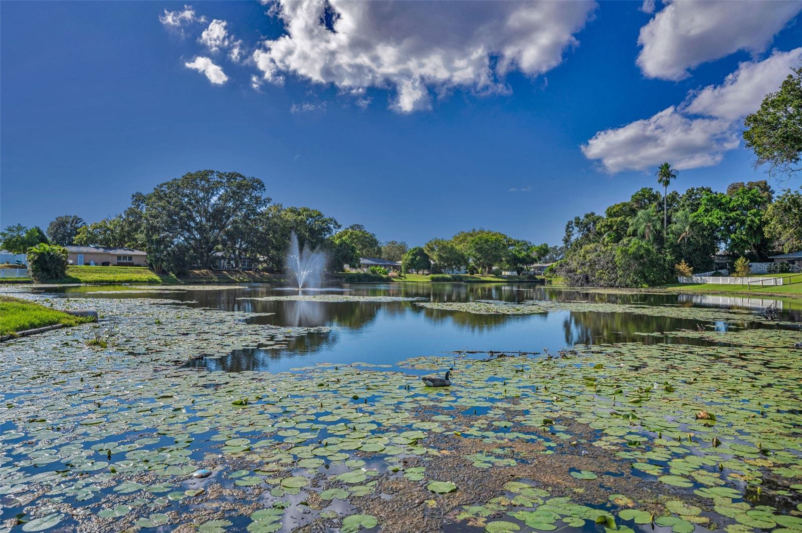 GREENBRIAR - Residential