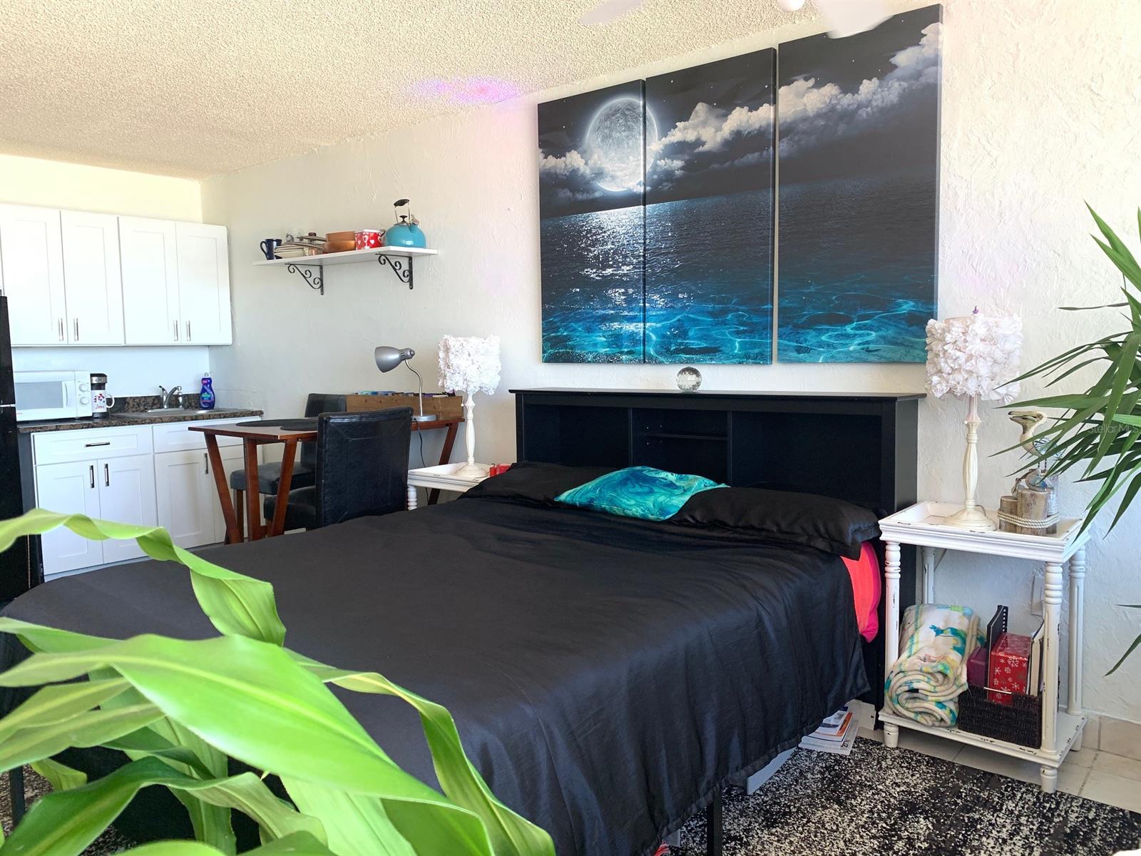 Pirates Cove Condo - Residential