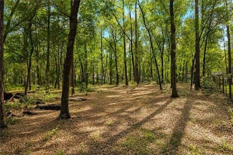 Tiny photo for 15970 NW 53rd Street, Morriston, FL 32668 (MLS # OM729329)