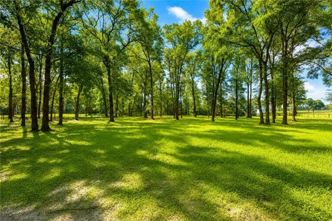 Tiny photo for 15970 NW 53rd Street, Morriston, FL 32668 (MLS # OM729329)
