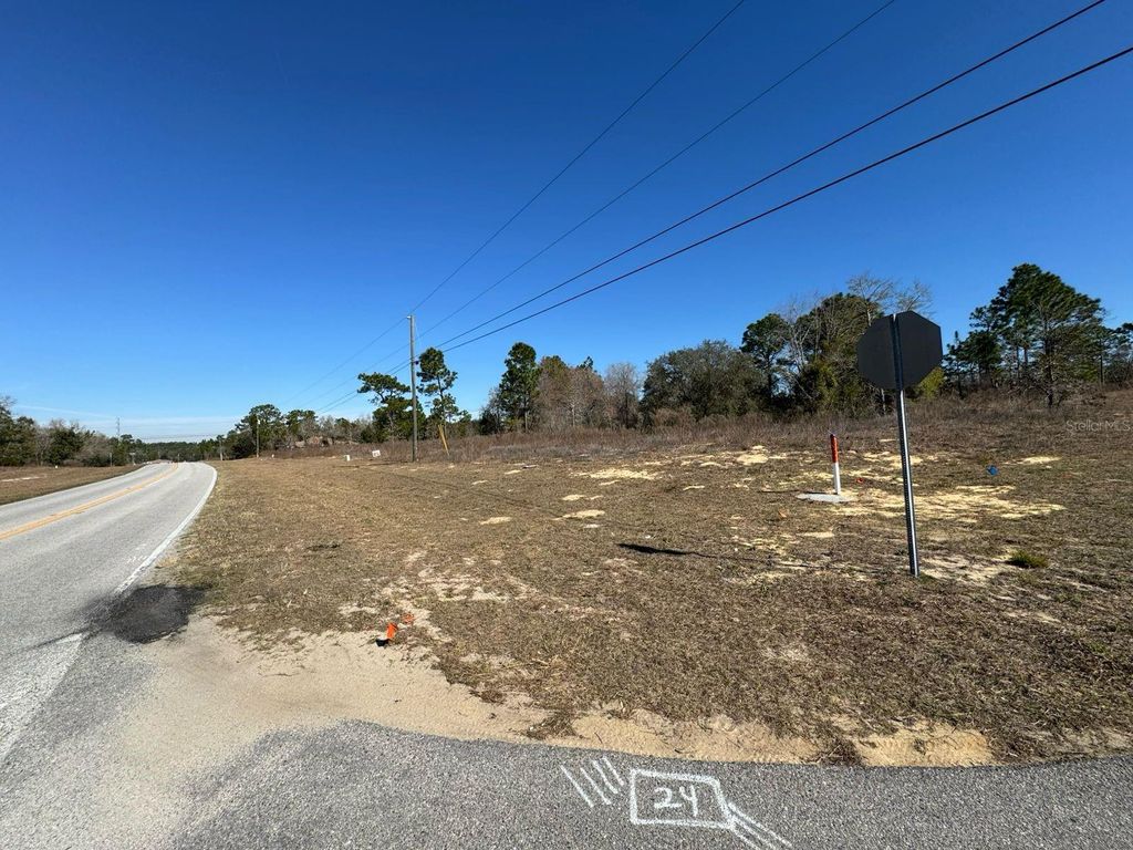 Photo of 2595 W Chamberlain Street, Citrus Springs, FL 34434 (MLS # O6381423)