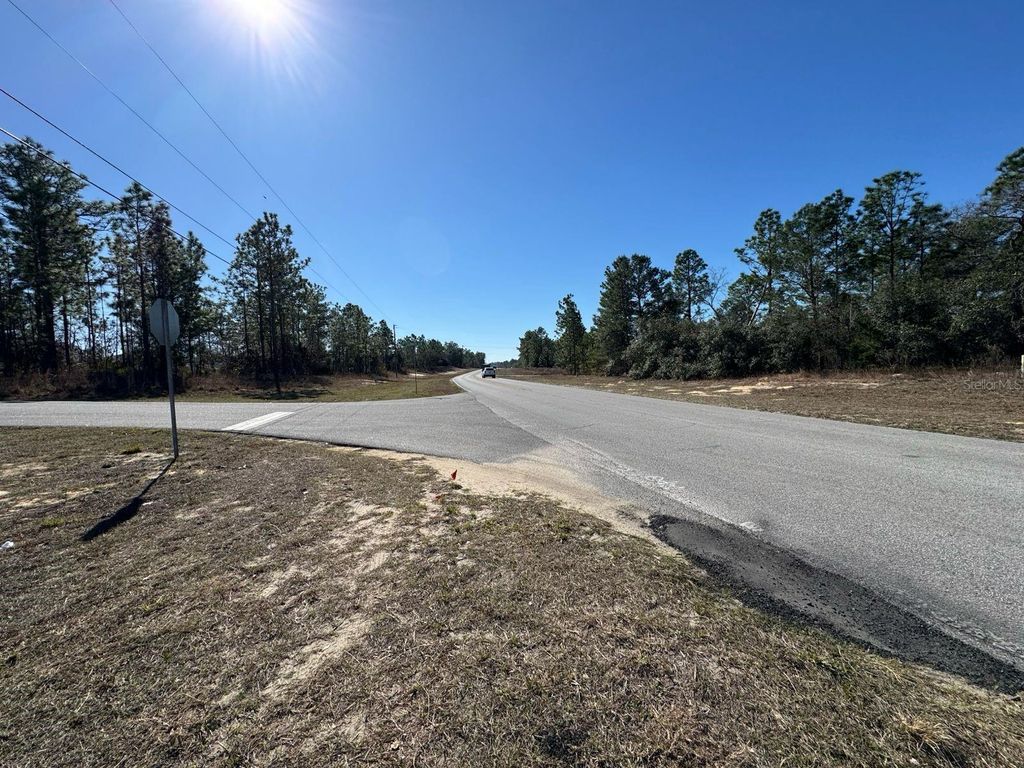 Photo of 2595 W Chamberlain Street, Citrus Springs, FL 34434 (MLS # O6381423)