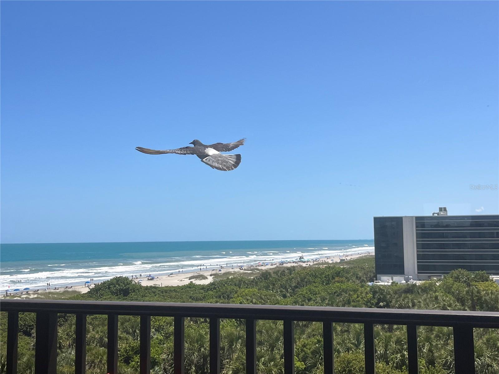 YOUNG & METZNER REALTY CO RESUB - Residential