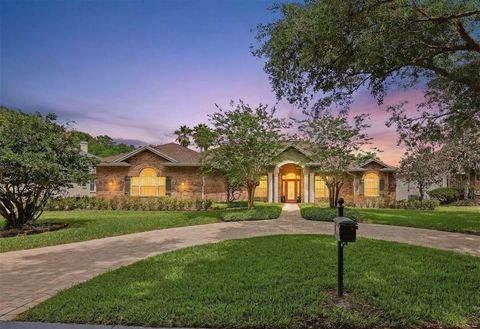 16533 HUTCHISON ROAD ODESSA FL 33556