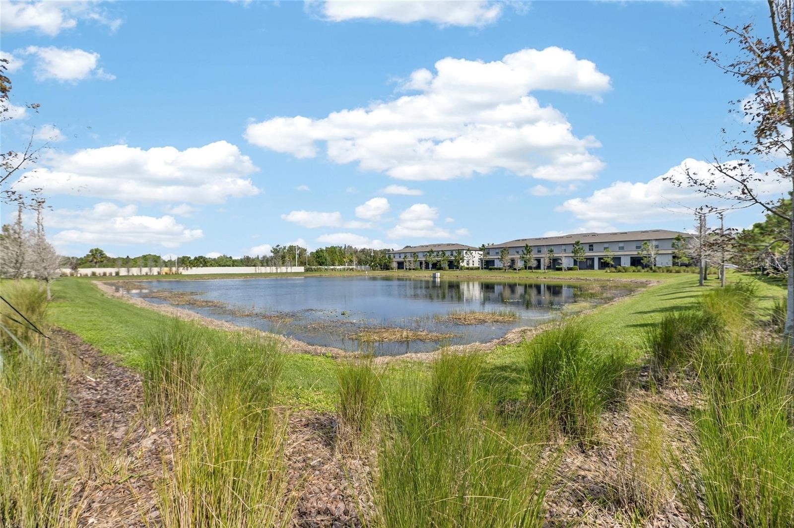 SUMMERFIELD TR 19 - Residential