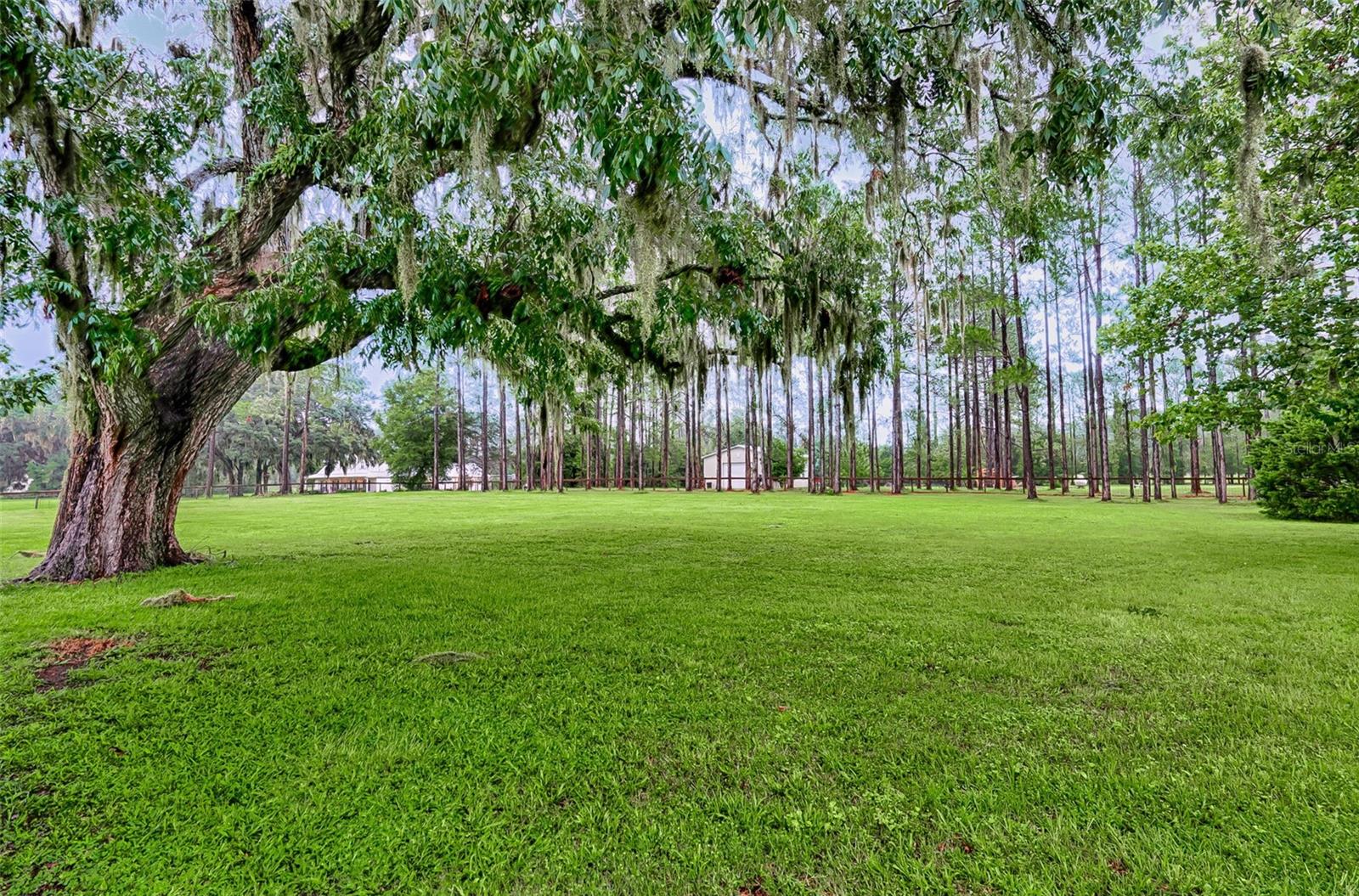 BRANDON ESTATES - Residential