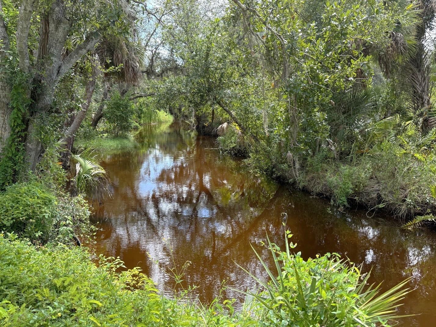 PUNTA GORDA ISLES SEC 21 - Land