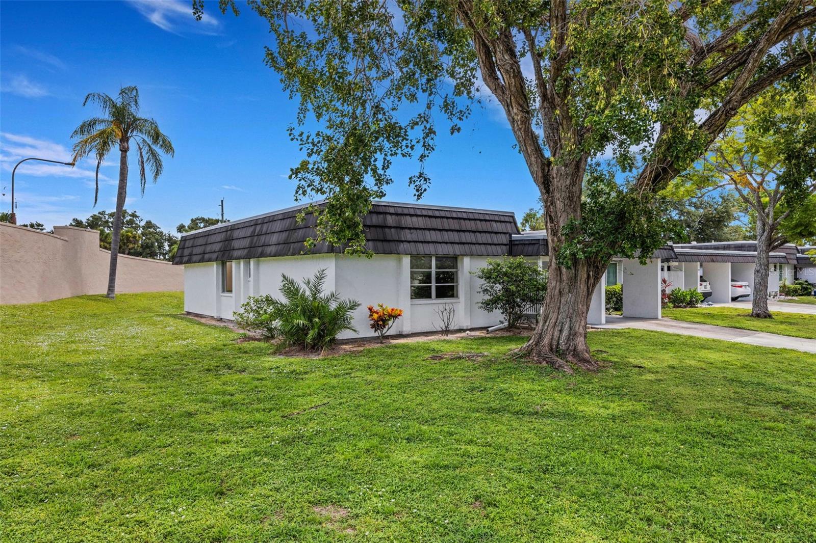 3911 PANOLA LANE