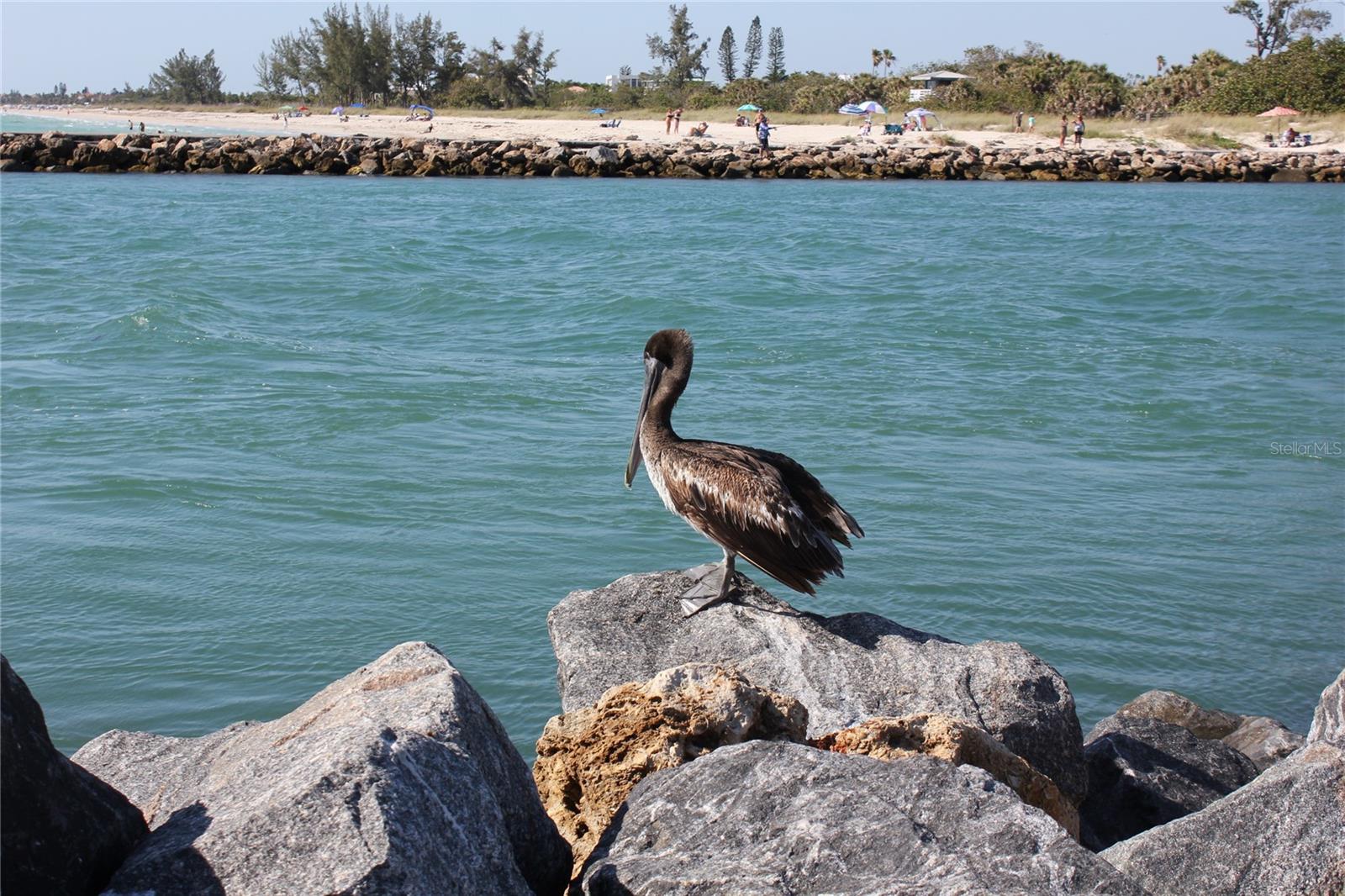 VENETIAN FALLS PH 3 - Residential