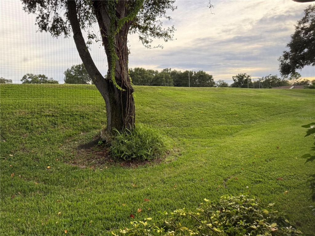 Photo of 2416 Hounds Trail, Palm Harbor, FL 34683 (MLS # TB8432125)