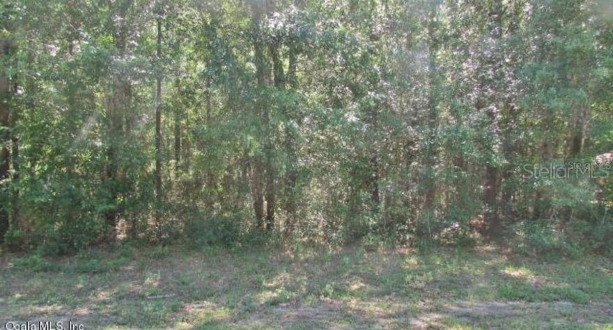 Dreaming about living in Florida? Then build on this sweet 0.29-acre homesite located on a quiet street with lovely trees & great neighbors. Rainbow Springs Country Club Estates offers many amenities for a very low yearly fee of $236.00. This lot is close to the residence private river park which has cooking grills, pavilions, a beach, kayak launch and a natural swimming area on the famous Rainbow River. Additionally, you and your family can enjoy the neighborhood clubhouse, Cheers Restaurant, the large swimming pool, pickleball, tennis courts,  walking trails, horseshoes, driving range, billiards, and various clubs. For the golfer, Rainbow's End Golf Club is a short drive away. Conveniently located, you will find stores, restaurants, medical facilities and the Rainbow River State Park. Don't wait...call about this beautiful lot and come build your dream home!