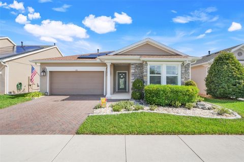 Photo of 815 Hidden Moss Drive, Groveland, FL 34736 (MLS # G5100077)