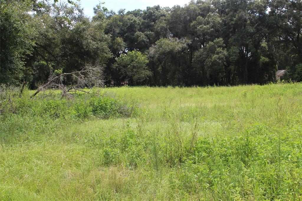 MACON PCLS 45 & 46 - Land