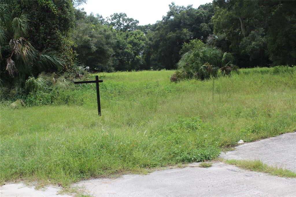 MACON PCLS 45 & 46 - Land