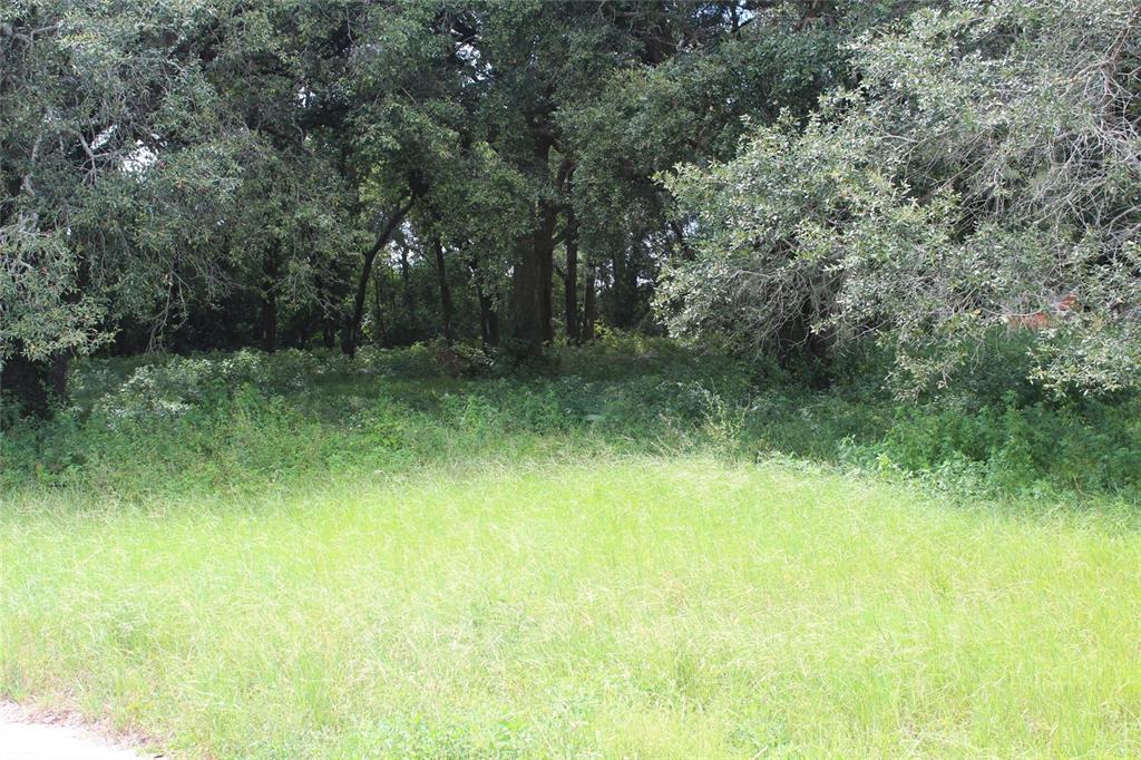 MACON PCLS 45 & 46 - Land