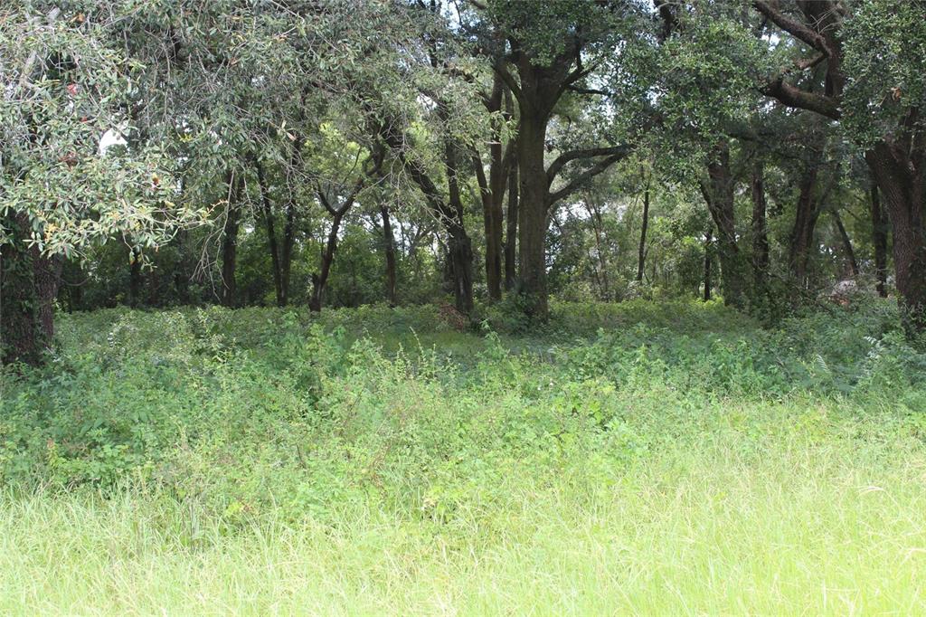 MACON PCLS 45 & 46 - Land