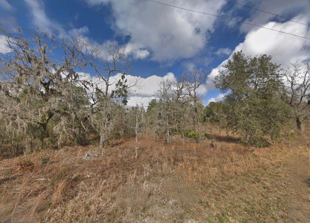 Photo of 16148 Sheldrake Loop, Brooksville, FL 34614 (MLS # TB8510808)
