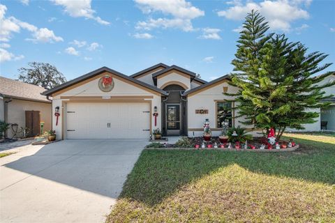 A home in TAVARES