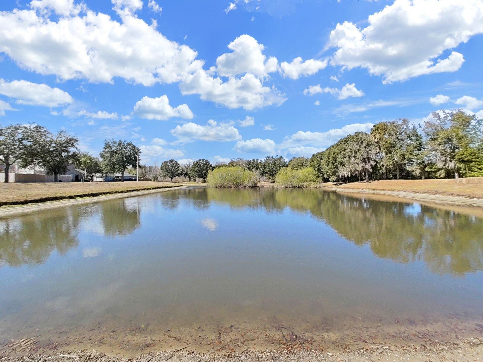 CHESTNUT FOREST - Residential