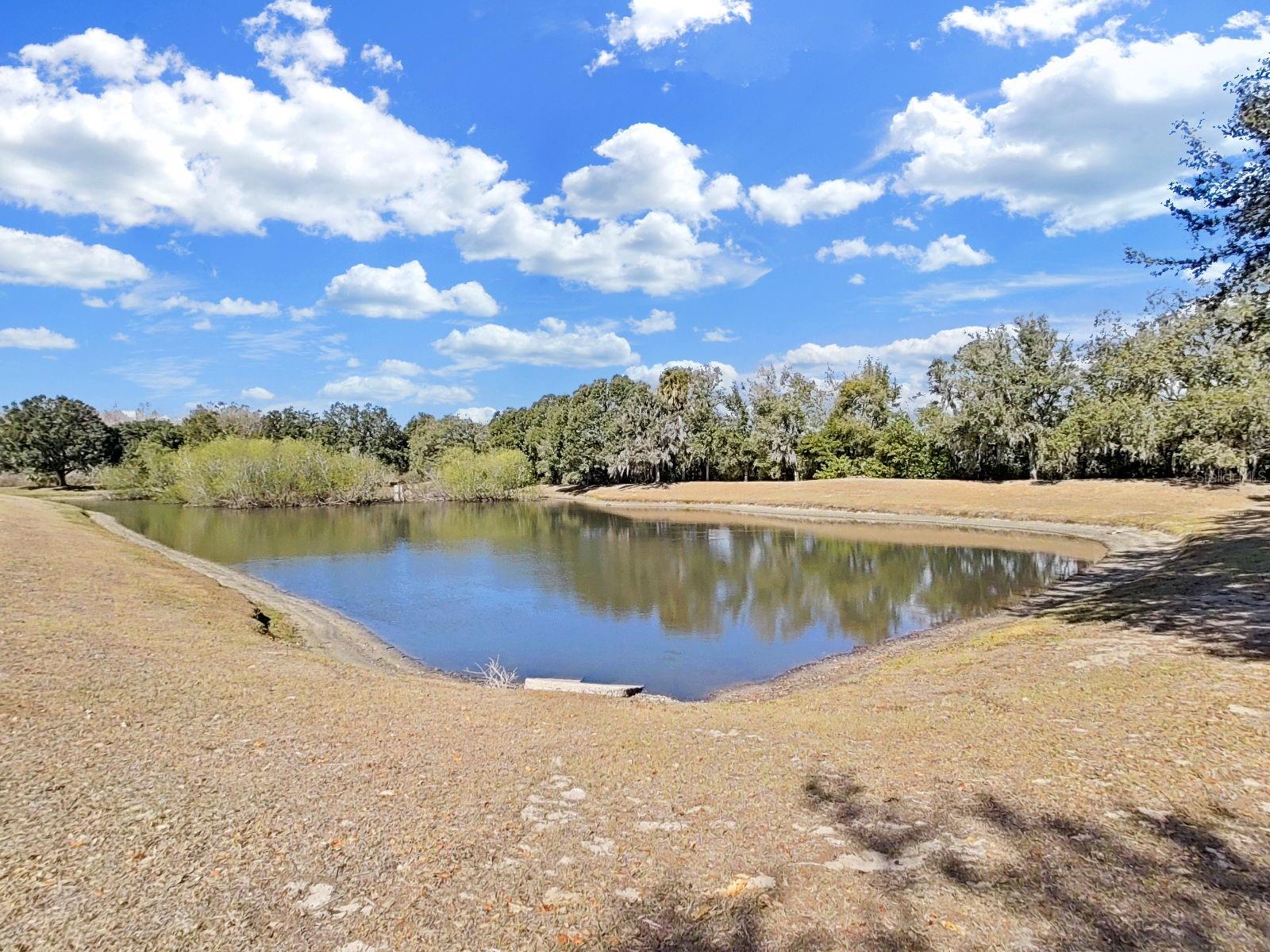 CHESTNUT FOREST - Residential